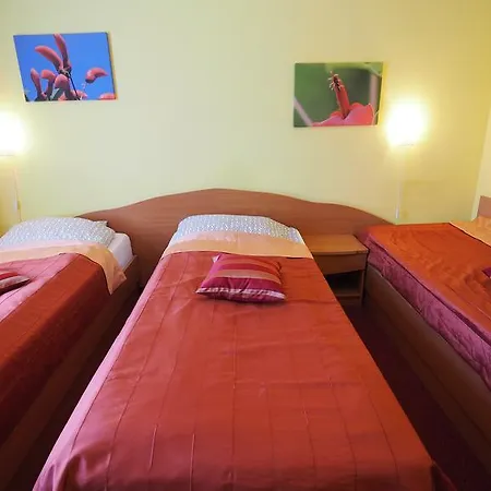 Karat Han/Misafirhane Malbork